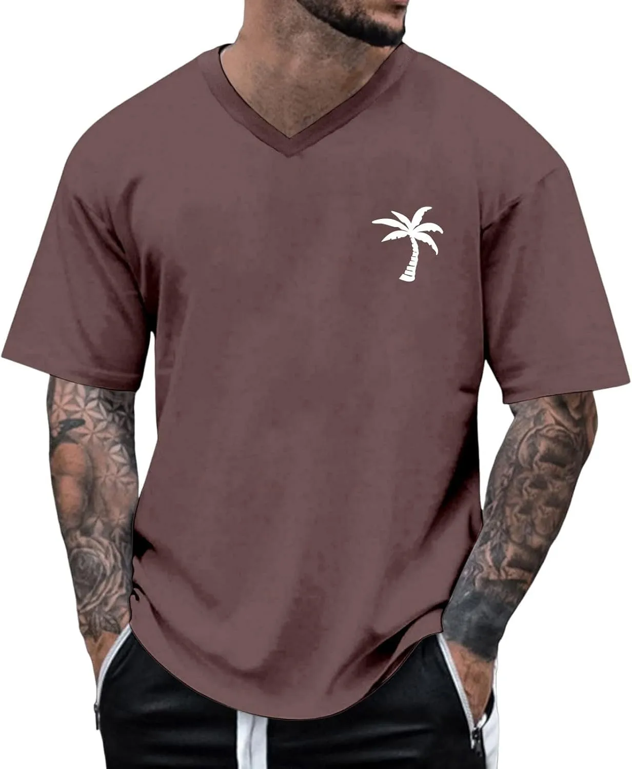 Big and Tall Men's Graphic Tee Tops Hawaii Coconut Printed V Neck Short Sleeve Casual Summer T Shirts Regular Fit