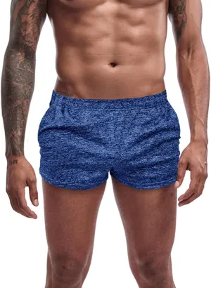 Men's Running Shorts 3 Inch with Pockets Athletics Casual Shorts Quick Dry Bobybuilding