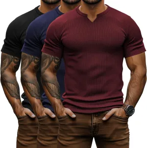 Neer 3 Pack Men's Big and Tall T Shirts Henley V Neck Short Sleeves Ribbed Slim Fit Muscle Gym Tops 2025 Summer Basic Tee