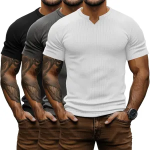 Neer 3 Pack Men's Big and Tall T Shirts Henley V Neck Short Sleeves Ribbed Slim Fit Muscle Gym Tops 2025 Summer Basic Tee