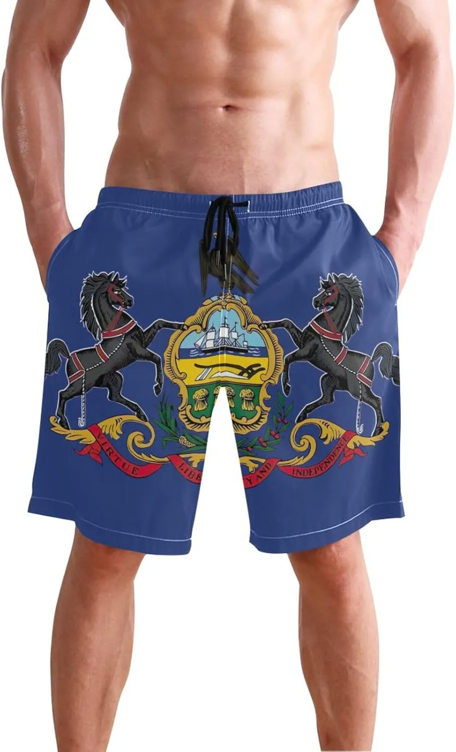 ODAWA Tennessee State Flag Swimming Shorts for Men Quick Dry Mens Beach Shorts with Mesh Liner