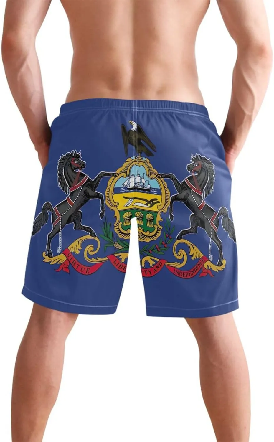 ODAWA Tennessee State Flag Swimming Shorts for Men Quick Dry Mens Beach Shorts with Mesh Liner